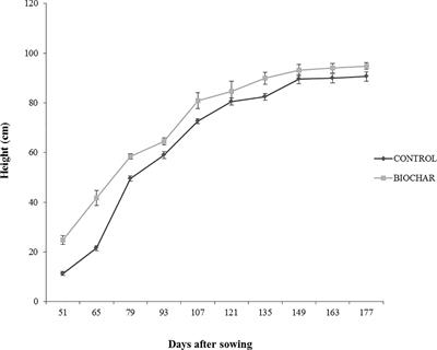 Biochar Administration to San Marzano Tomato Plants Cultivated Under Low-Input Farming Increases Growth, Fruit Yield, and Affects Gene Expression